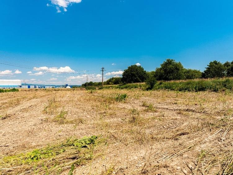Teren Construcții intravilan de 3975 mp, în Hălchiu