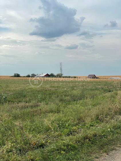 Teren agricol extravilan de 7200 mp, în Horlești (Rediu)
