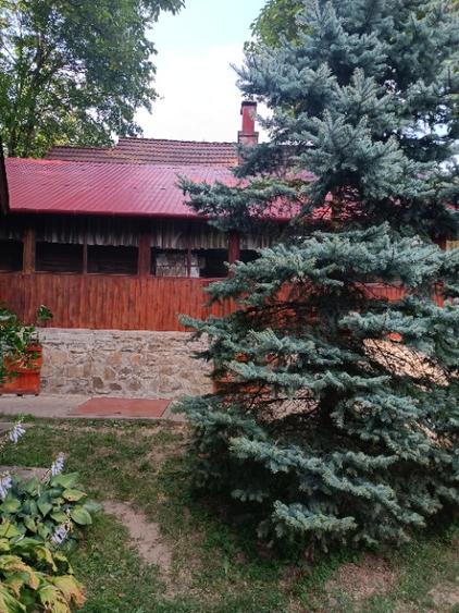 Casă cu 5 camere cu Teren 6500 Mp în Izvoarele