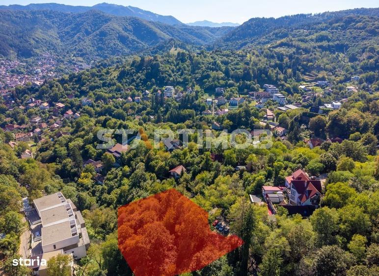 Spațiu comercial, în Schei
