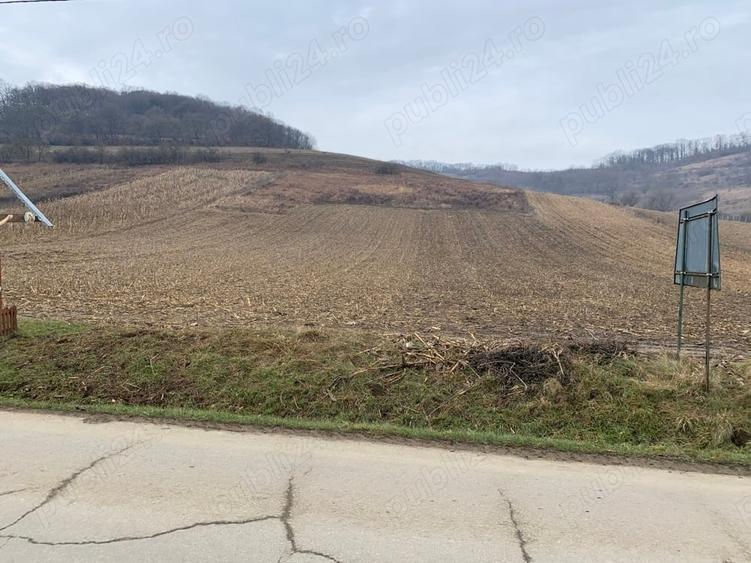 Teren de 5800 mp, în Șaroș pe Târnave