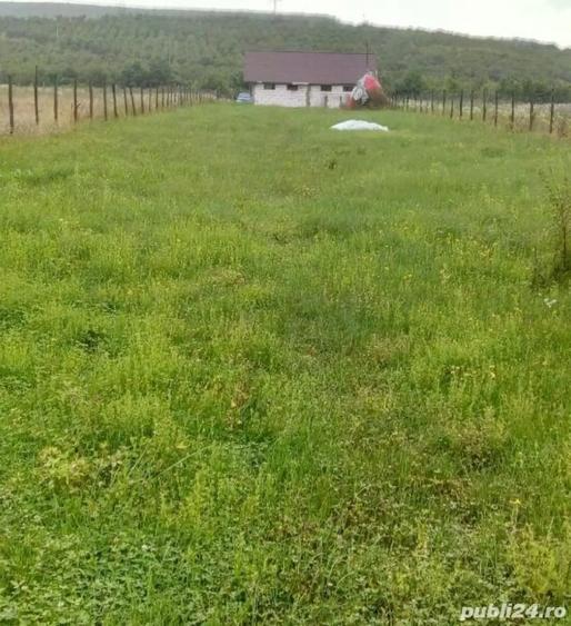 Teren de 2200 mp, în Colibași