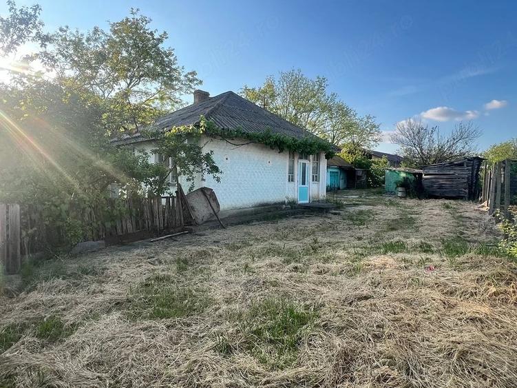 Casă cu 4 camere cu Teren 3000 Mp în Țigănași
