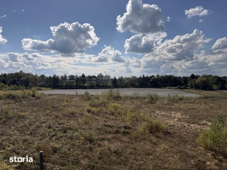 Teren 10.000 mp Tautii Magheraus - 3