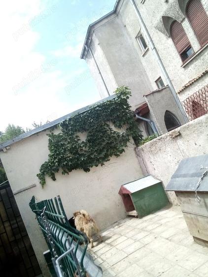 Casă cu 3 camere cu Teren 1520 Mp în Iancului