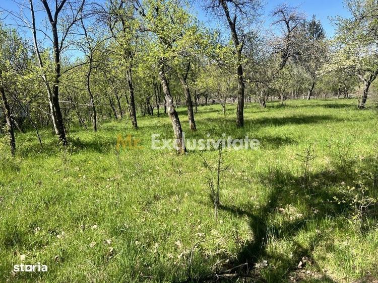 Teren intravilan 3097 mp Comuna Corbi, Jud. Arges, toarte utilitatile - 4