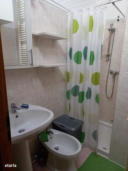 studio Complex Elisbetinin, Judetean 350 EUR/luna - 5