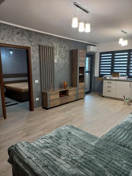 Apartament inchiriat Bd. Dem Radulescu - 4
