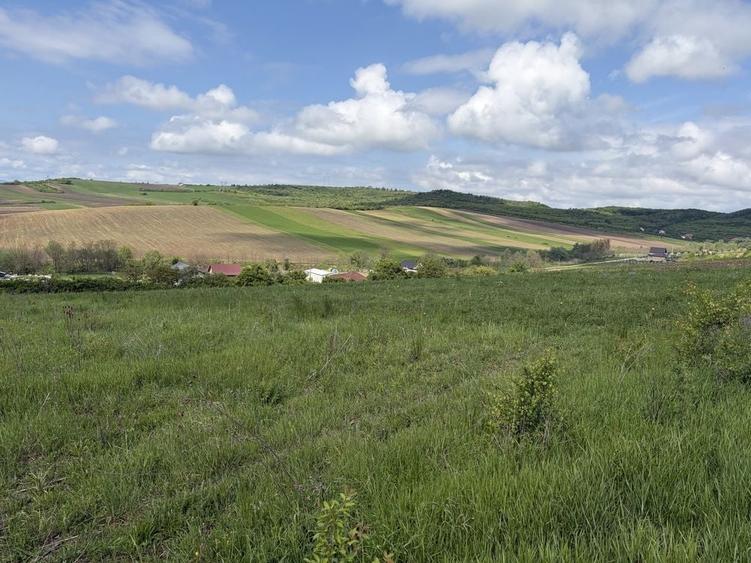 Teren de 2500 mp, în Șura Mare