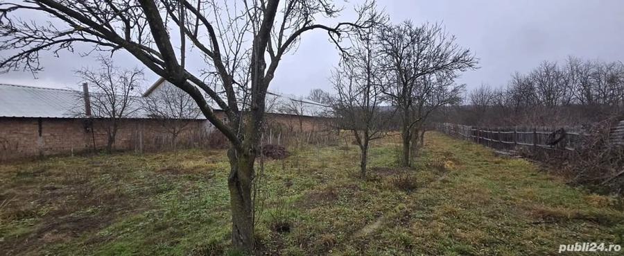 Casă cu Teren 6330 Mp în Poienari