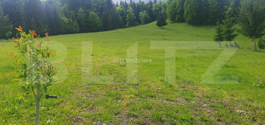 Teren 30.000 mp ( din care 3000 mp intravilan) in Dorna Candrenilor