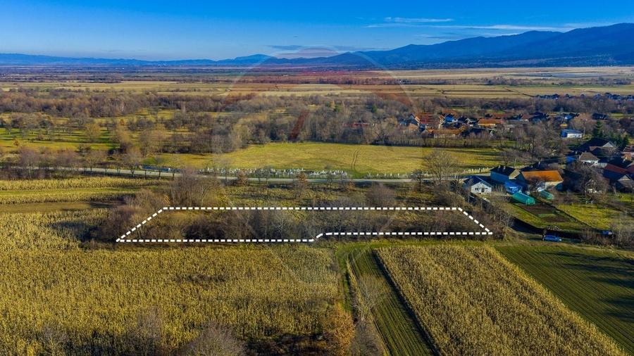 Teren Construcții intravilan de 4200 mp, în Dejani