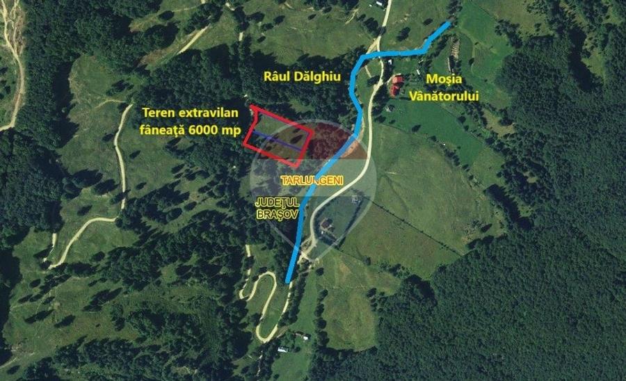 Teren agricol extravilan de 6000 mp, în Dălghiu