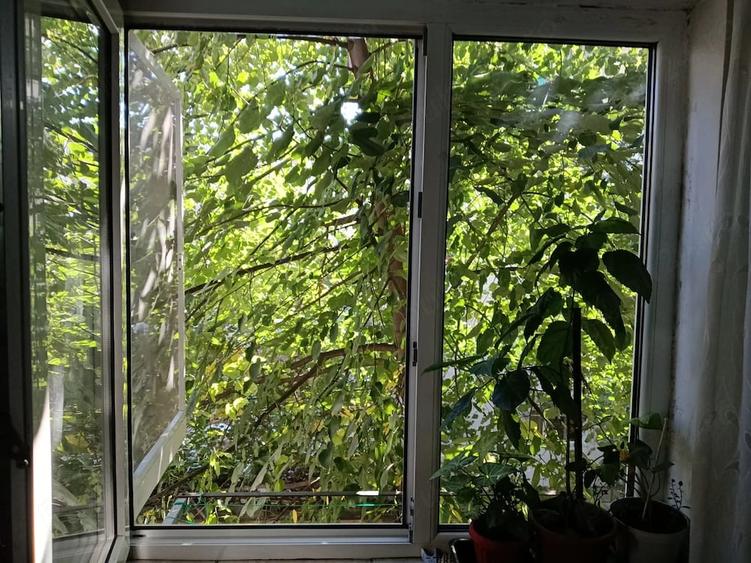 Garsonieră nedecomandată în Nicolina