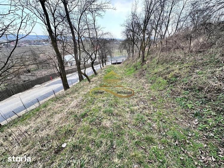 Teren de 11021 mp, în Blăgești