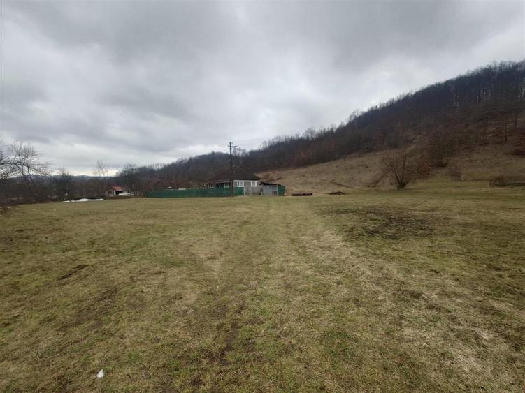Casă cu 3 camere cu Teren 12861 Mp în Luncoiu de Jos