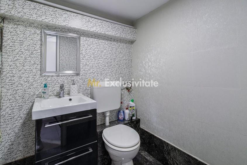 Spatiu Comercial Gorjului-Timisoara - 2