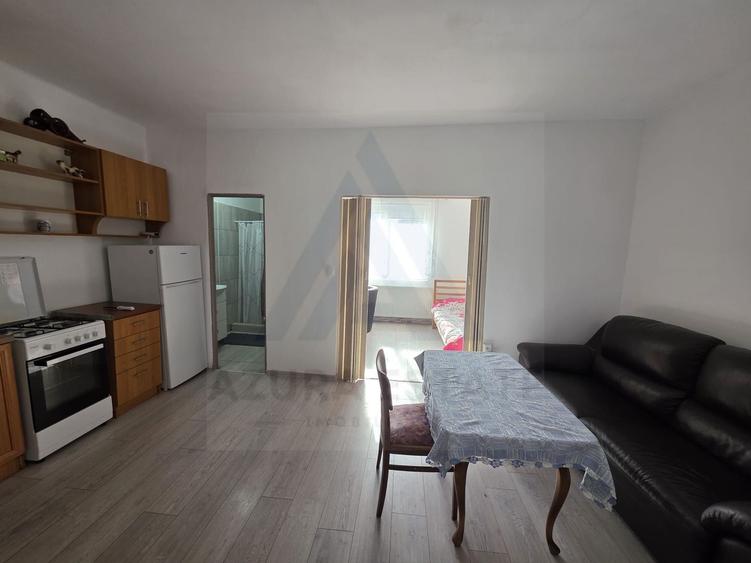 Studio la curte utilat complet cu terasa  zona Lazaret - 1