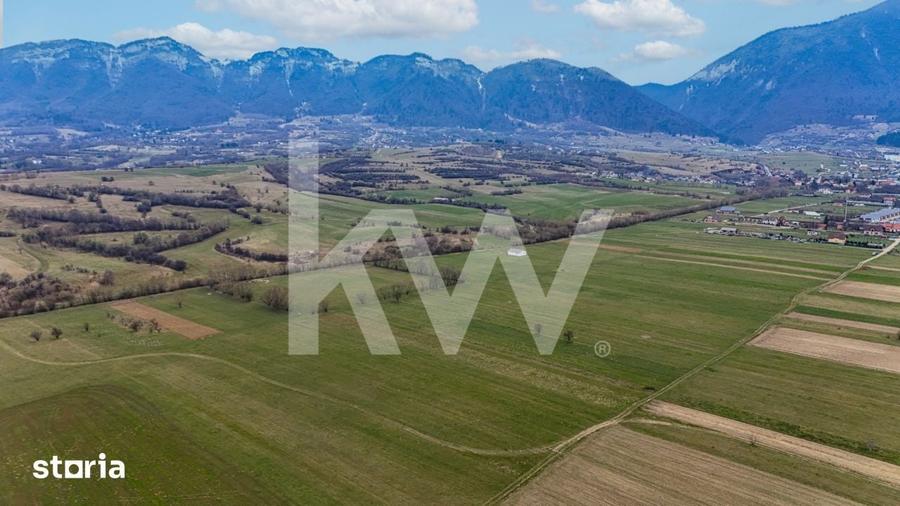 Teren de 1570 mp, în Plaiul Foii