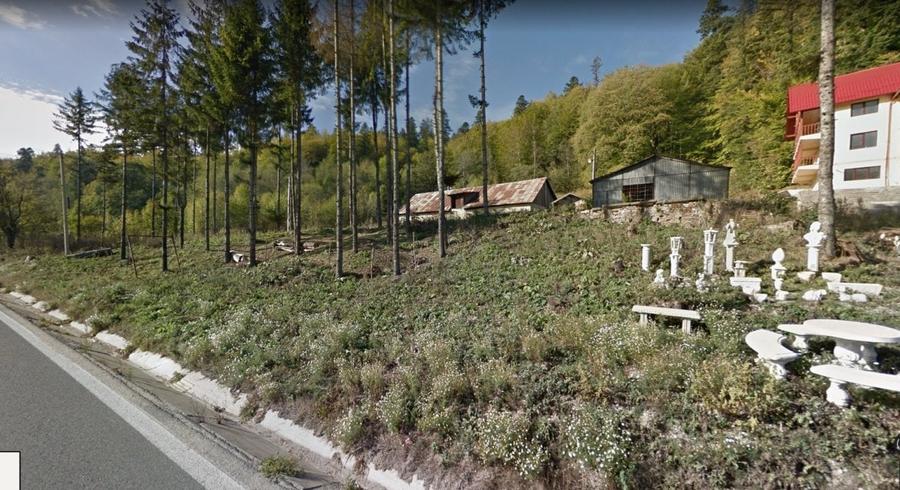 Teren Construcții intravilan de 3450 mp, în Bușteni
