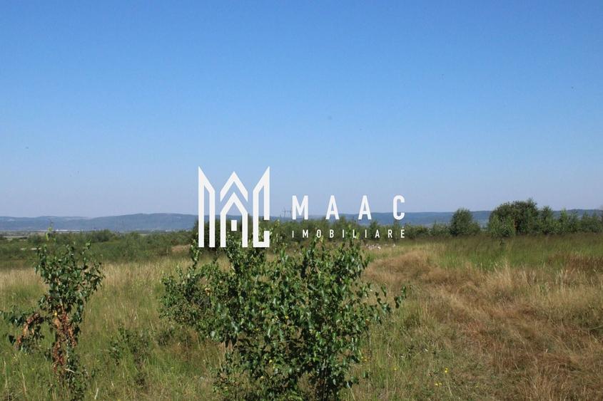 Teren agricol extravilan de 3900 mp, în Arpașu de Sus