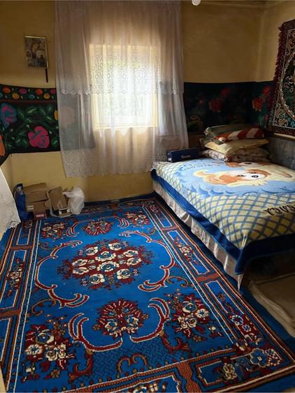 Casă cu Teren 2000 Mp în Prundu