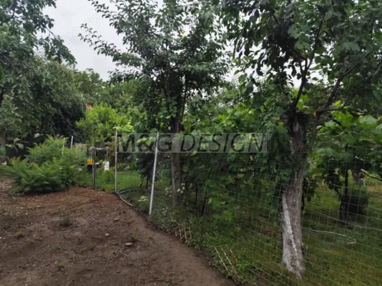 Casă cu Teren 1033 Mp în Bogdăneștilor