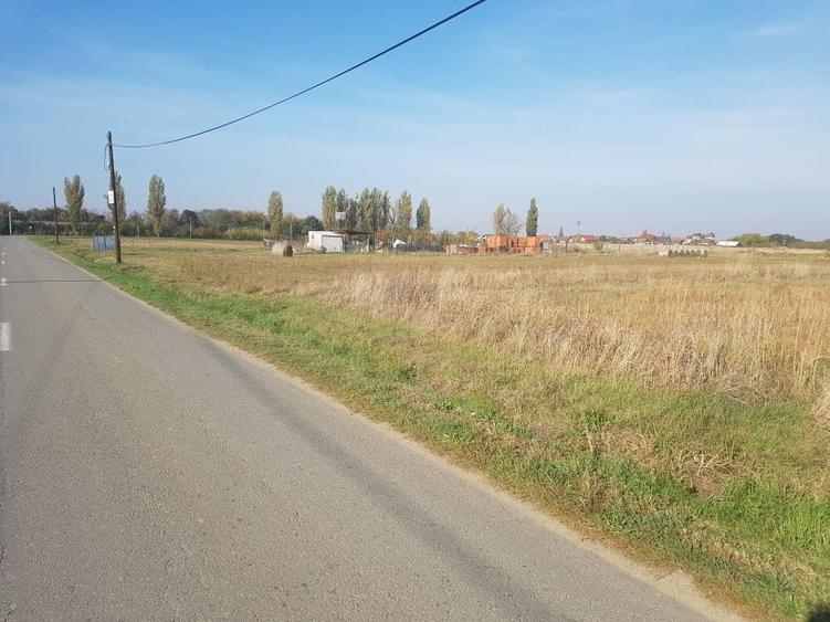 Teren de 5000 mp, în Șag