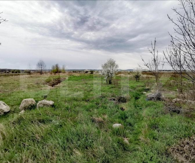 Teren Construcții intravilan de 4672 mp, în Ișalnița