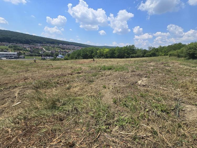 Teren Construcții intravilan de 16476 mp, în Corunca