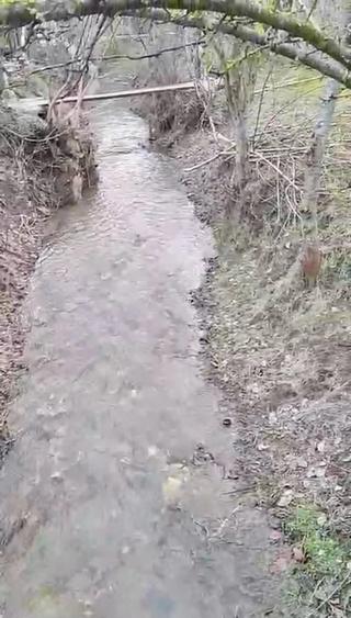 Casă cu 4 camere cu Teren 2000 Mp în Slava Cercheză