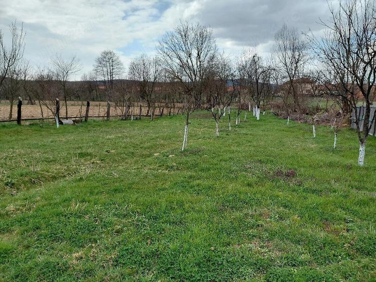 Casă cu 3 camere cu Teren 2158 Mp în Fârdea