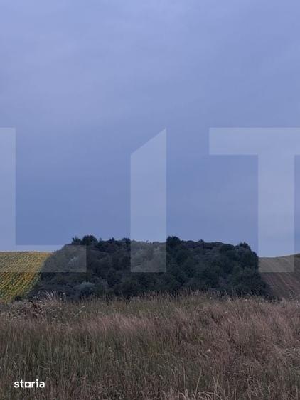 Teren de 17300 mp, în Unțeni