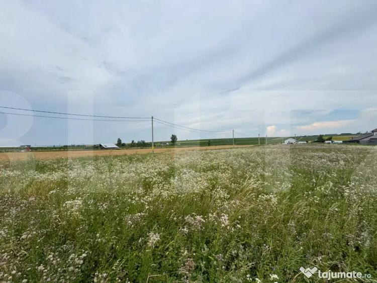Loturi teren, 700 mp, Rachiti, Botosani - 1