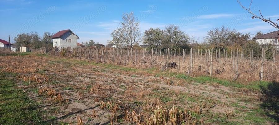 Teren de 1500 mp, în Vânători