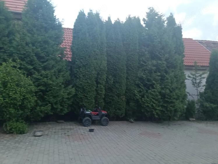 Casă cu Teren 1439 Mp în Saschiz