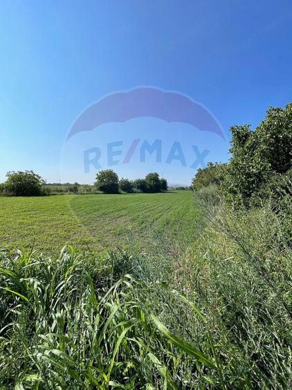 Teren de 4370 mp, în Central