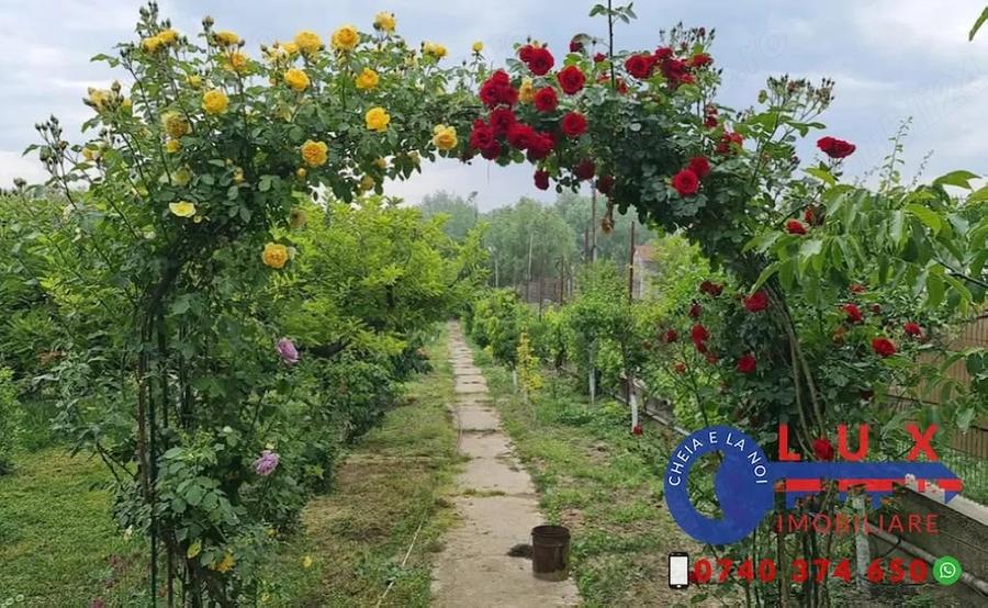 Casă cu Teren 1750 Mp în Babadag