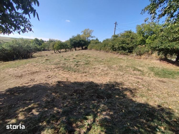 Teren de 2200 mp, în Frumosu
