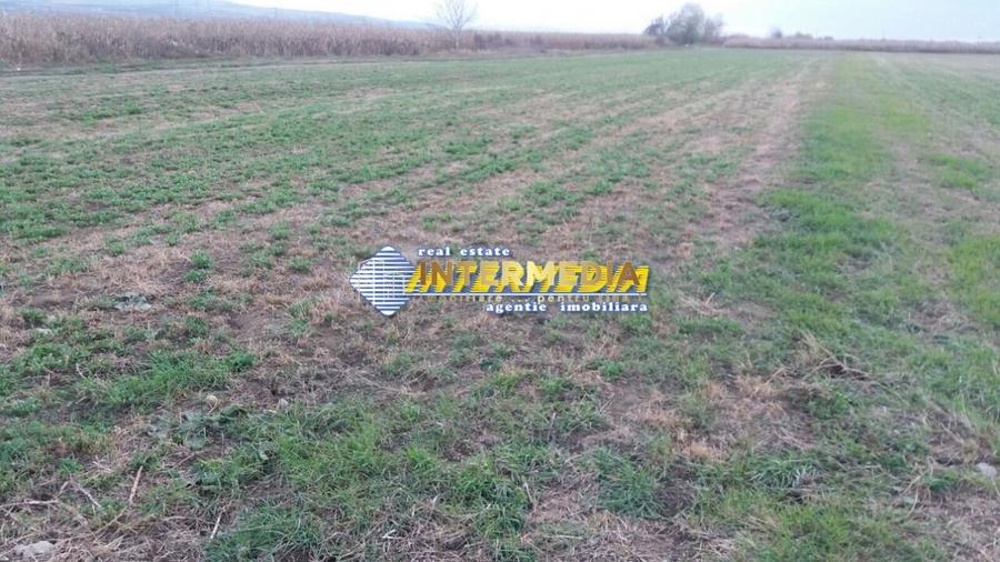 Teren Construcții de 5000 mp, în Industrială