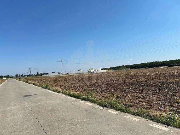 Teren de 100000 mp, în Păulești