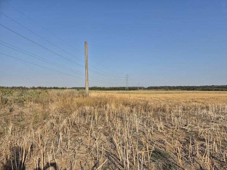 Teren agricol intravilan de 22400 mp, în Periș