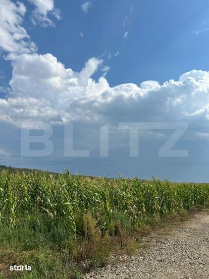 Teren de 963 mp, în Central