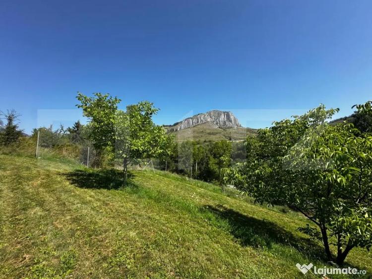 Teren deosebit de vanzare 1800 mp, Cheile Vali?oarei - 5