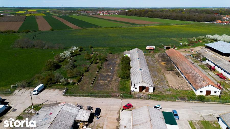 Spațiu comercial, de 734 mp, în Macea