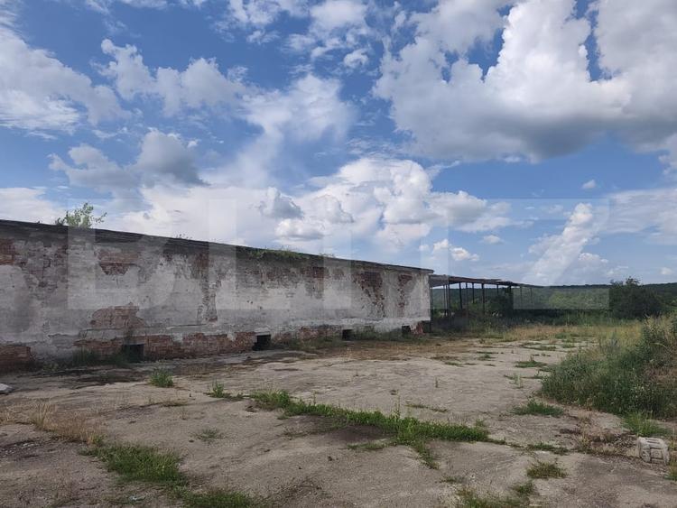 Teren Construcții intravilan de 8000 mp, în Dragomirești
