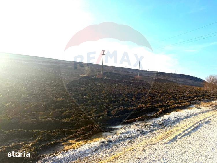 Teren de 4956 mp, în Calea Bârladului