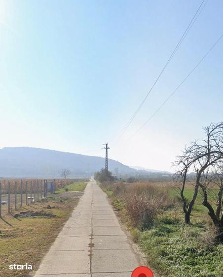 Teren de 8600 mp, în Central