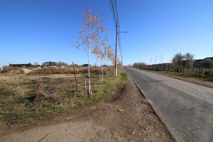 Teren Construcții intravilan de 897 mp, în Costi