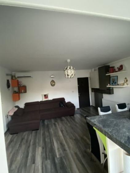 Apartament cu 2 camere semidecomandat în Dumbrăvița - 2